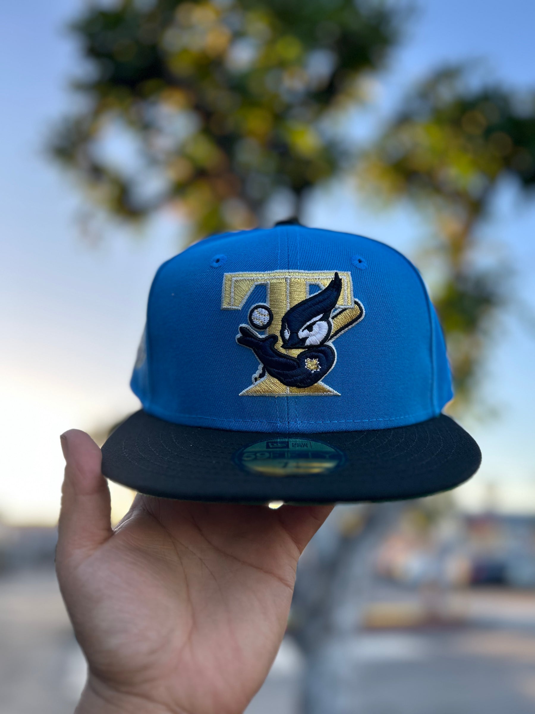Toronto Blue Jays Blue 5950