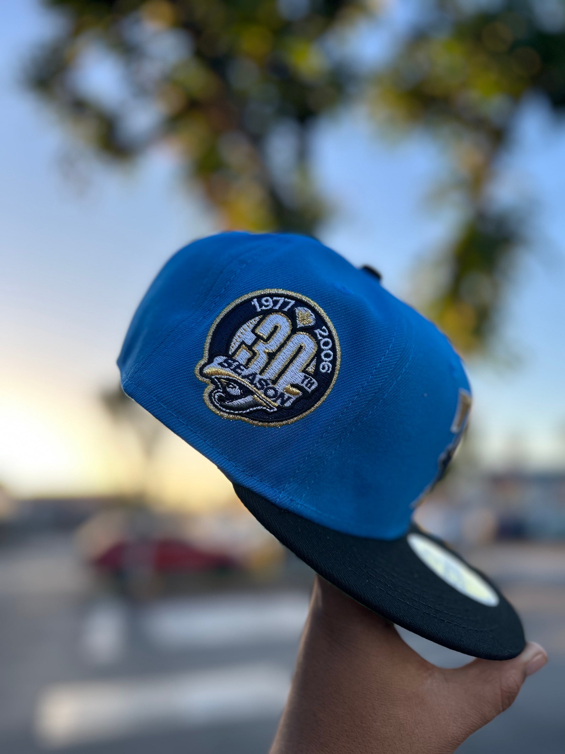 Toronto Blue Jays Blue 5950