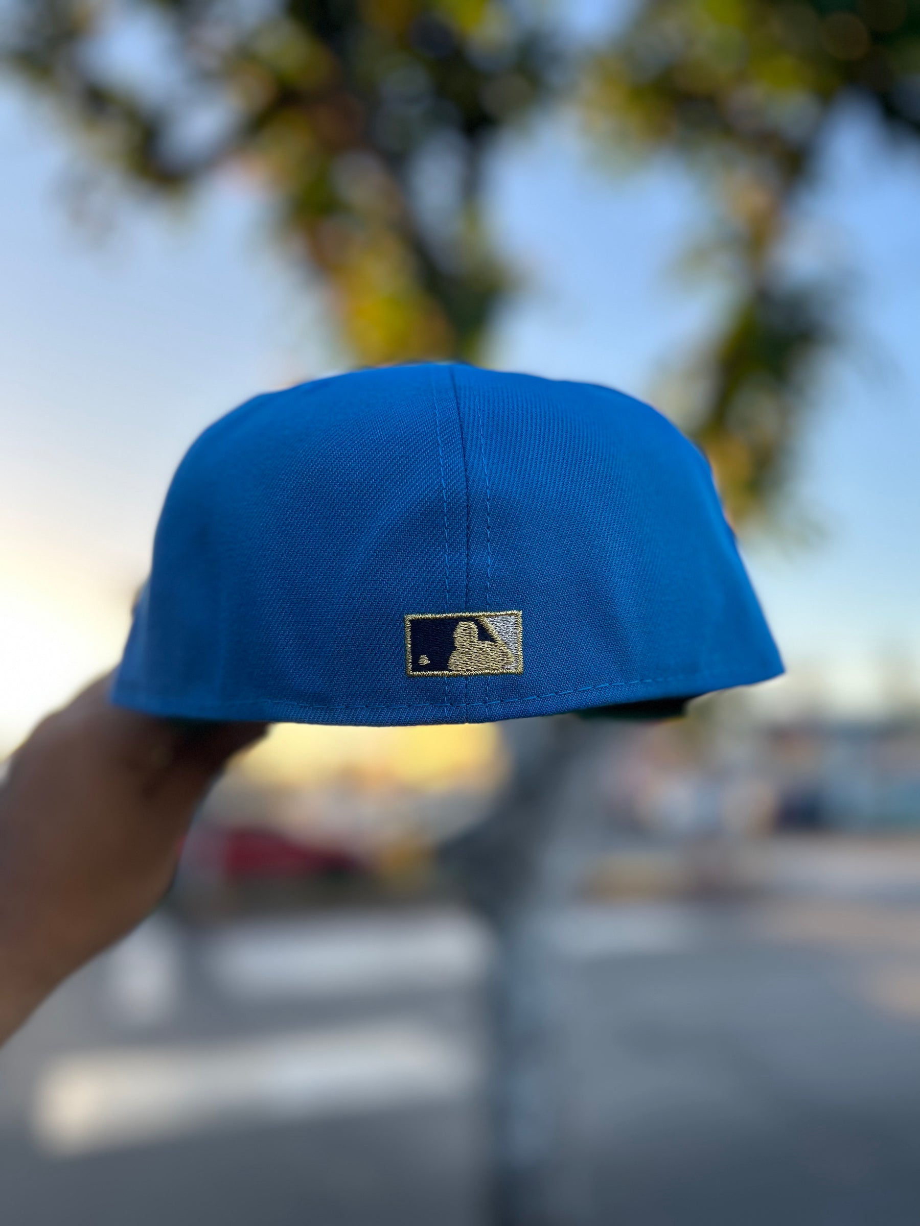Toronto Blue Jays Blue 5950