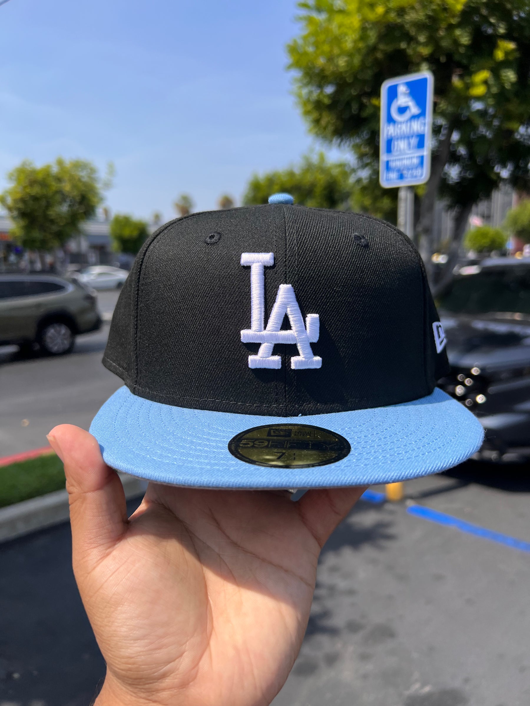 Los Angeles Dodgers Black / SKy 5950