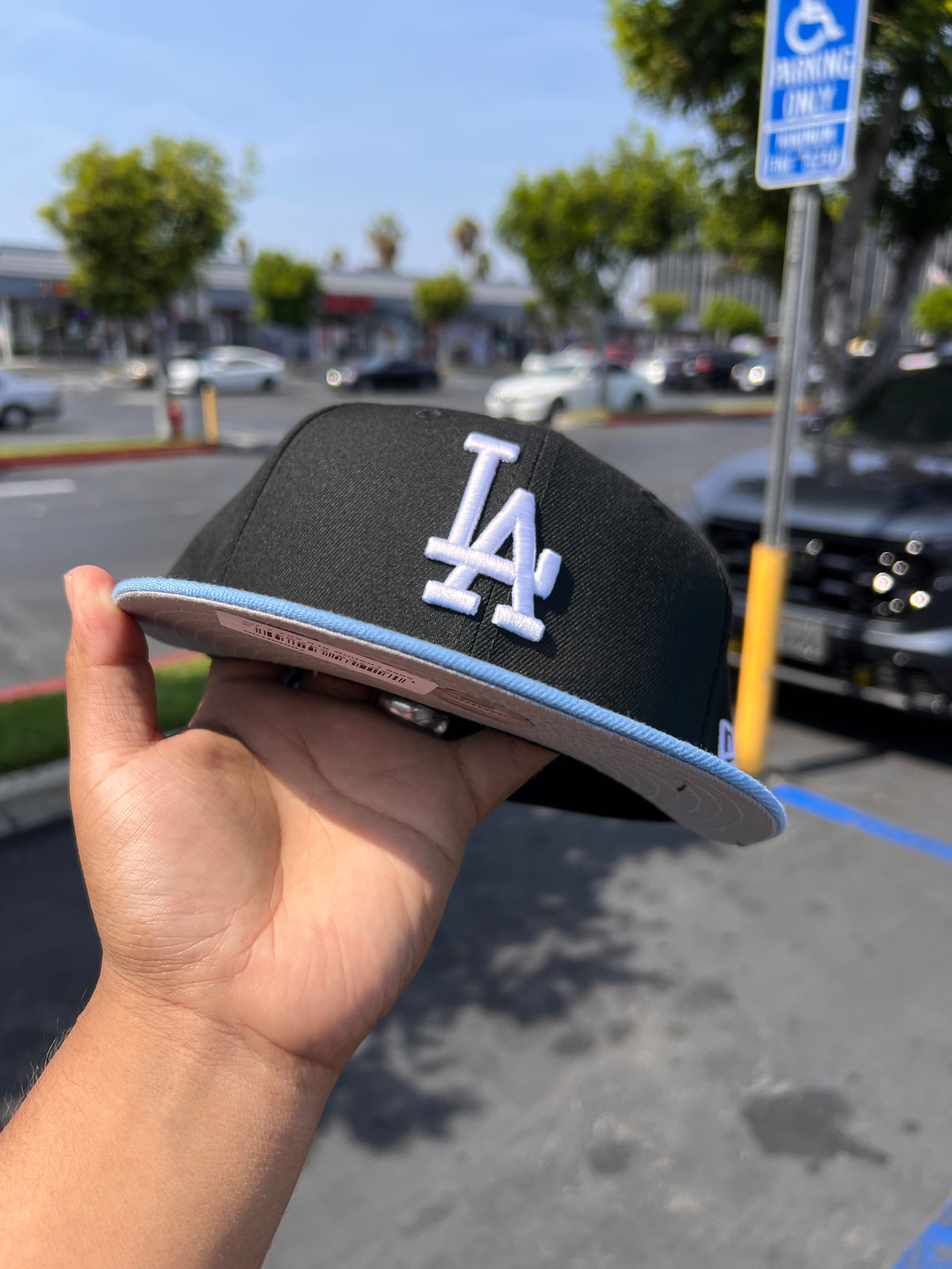 Los Angeles Dodgers Black / SKy 5950