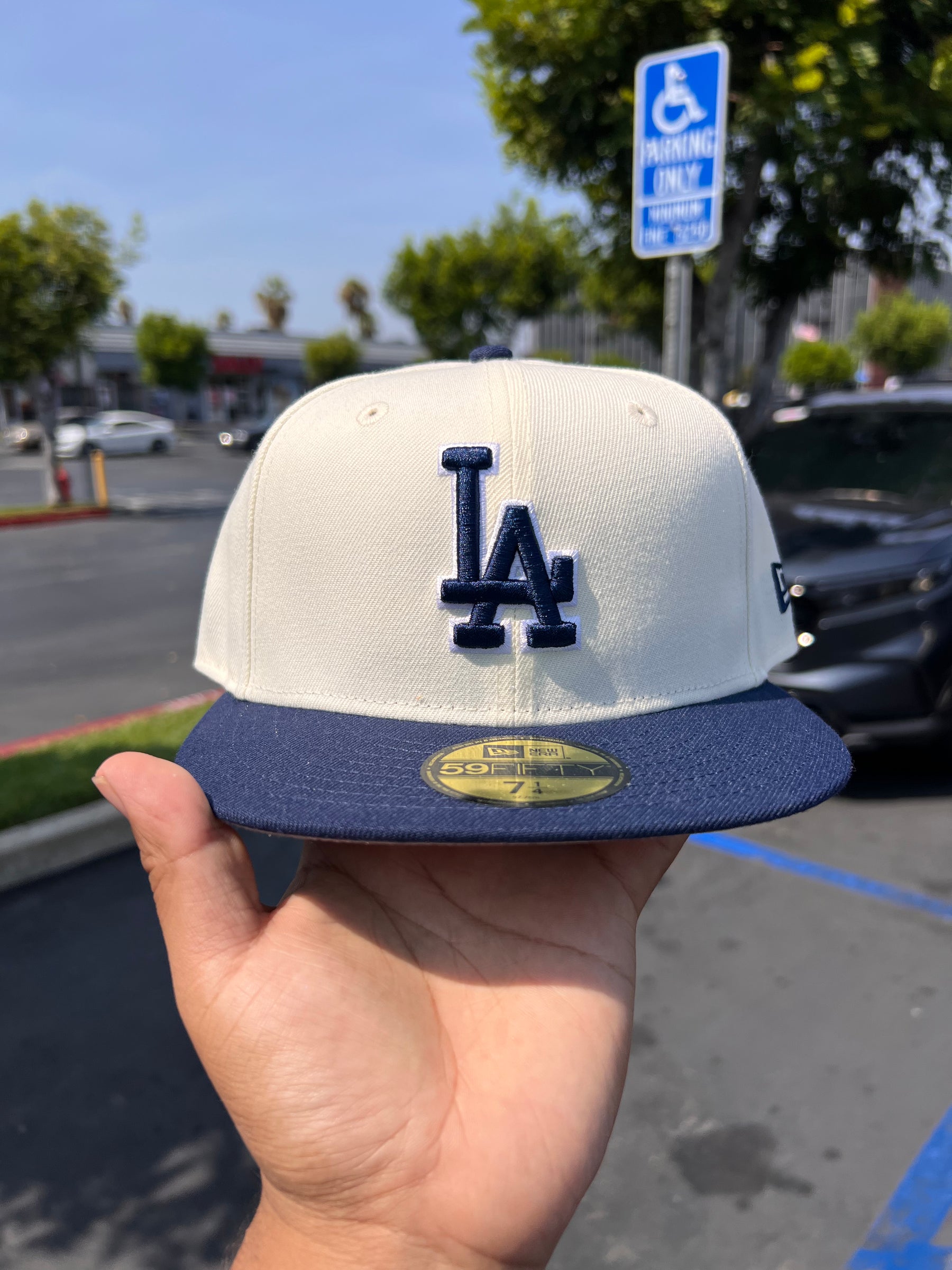 Los Angeles Dodgers Chrome / Navy 5950