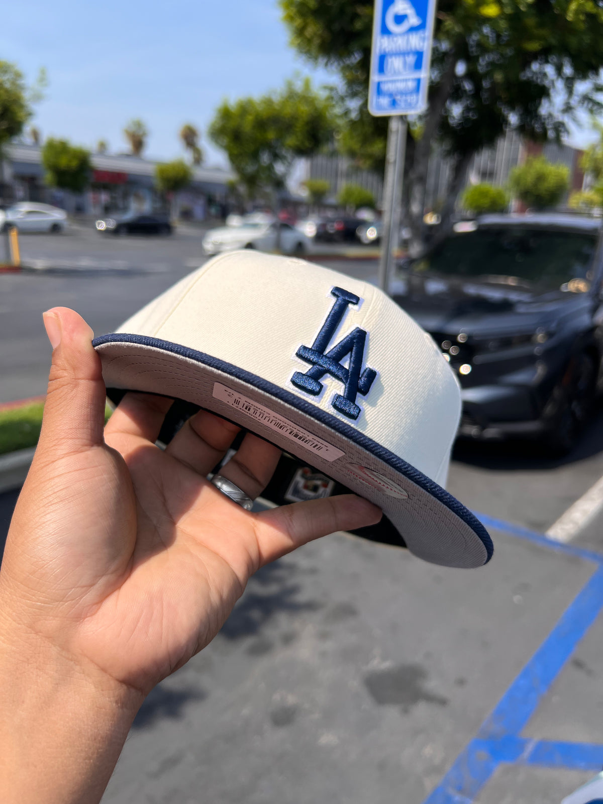 Los Angeles Dodgers Chrome / Navy 5950