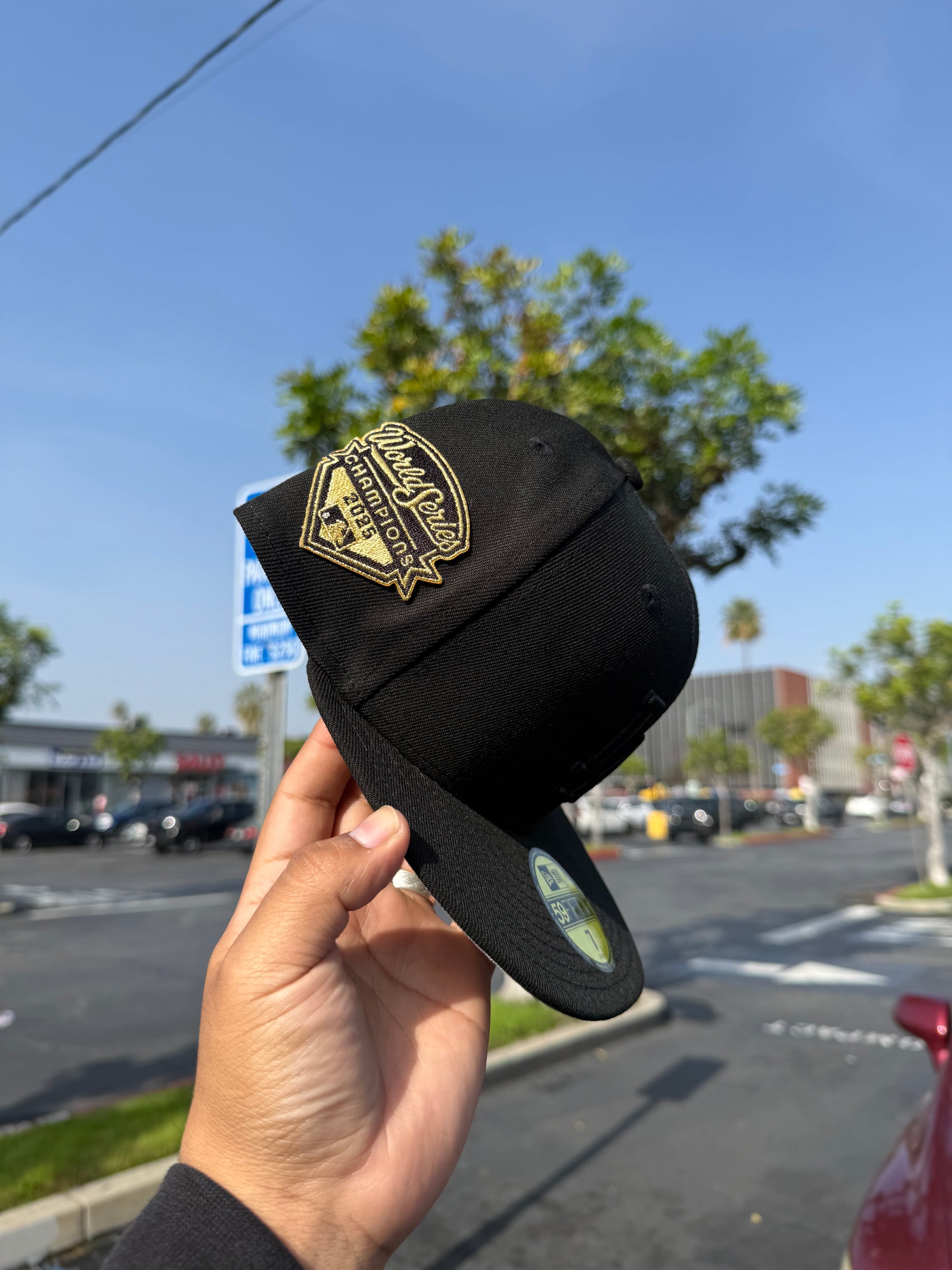 Men's Los Angeles Dodgers New Era Black/Black 2025 MLB Champions Hat w side Patch 14943675