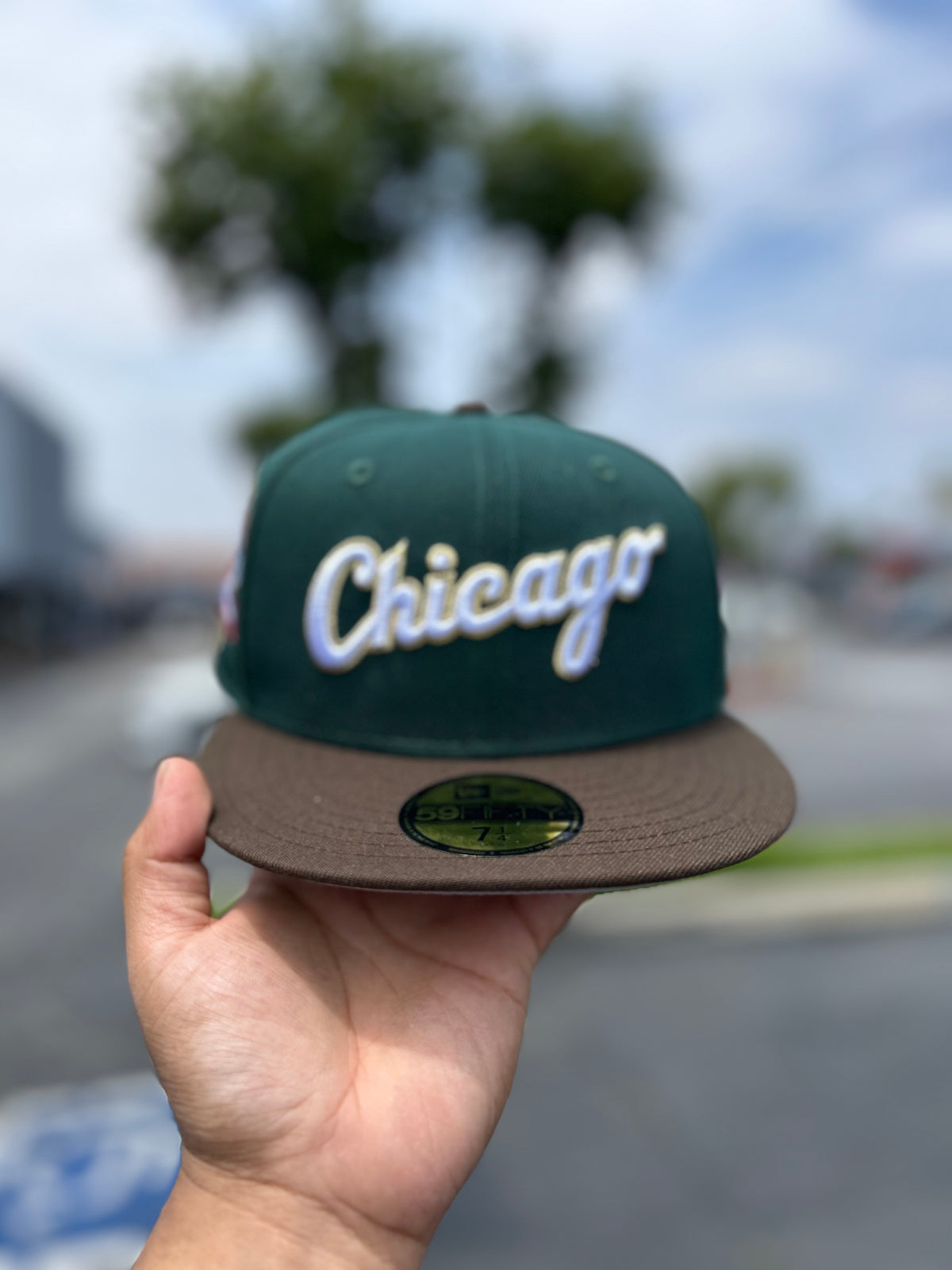 Chicago Cubs Forest Green / Walnut