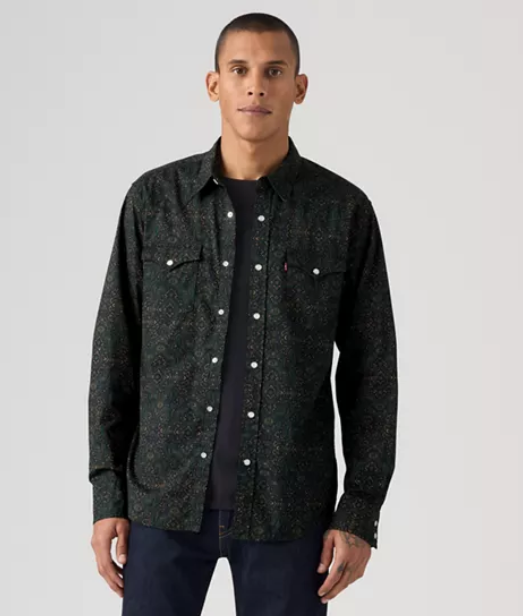 Levi's Classic Western Standard Virgil Paisley Shirt