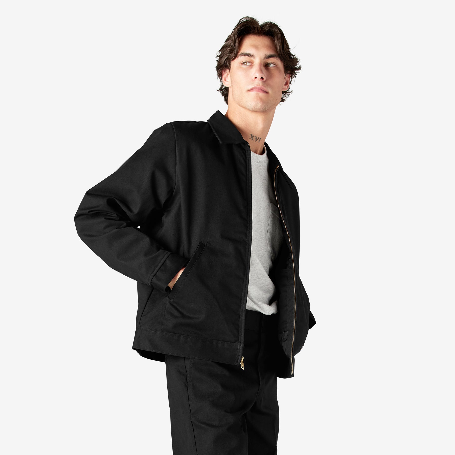 Dickies Insulated Eisenhower Jacket Black TJ15